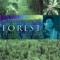 Enchanting Forest - Taufiq Qureshi lyrics