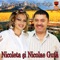 Mi-e Dor de Tine - Nicolae Guta lyrics