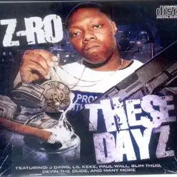 These Days, Pt. 3 - Z-Ro
