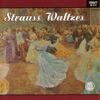 Strauss - The blue danube