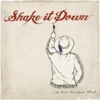 Shake It Down, 2012