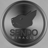Miracle (Original Mix) - Single
