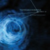 Traversable Wormhole Vol 6 - 10 (Mixed by Adam X), 2013