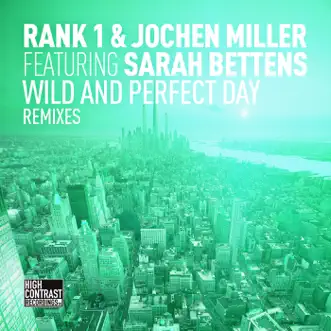 Wild and Perfect Day (Michael Jay Parker Peaktime Remix) by Rank 1 & Jochen Miller song reviws