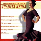 Los Grandes Éxitos de Juanita Reina artwork