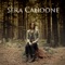 Deer Creek Canyon - Sera Cahoone lyrics