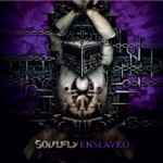 Soulfly - World Scum