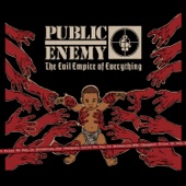 Public Enemy - Don't Give Up the Fight (feat. Ziggy Marley)