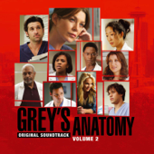 Grey's Anatomy, Vol. 2 (Original Soundtrack) - Verschiedene Interpreten