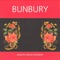 Apuesta Por El Rocanrol - Bunbury lyrics