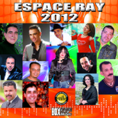 Espace Ray 2012 - Verschillende artiesten