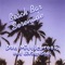 Beach Bar Serenade - Don Middlebrook lyrics