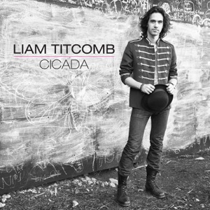 Liam Titcomb - Landslide - Line Dance Choreograf/in