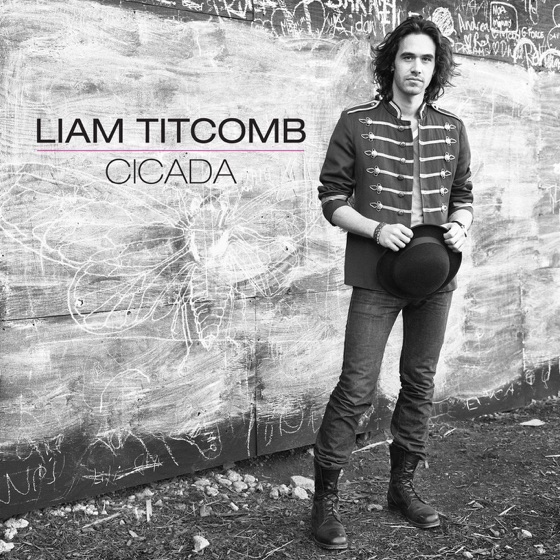 Cover artwork for Landslide