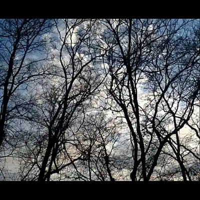 No Heaven - Single - Tony Garcia