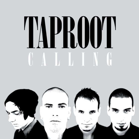 Cover artwork for Calling (Single Version)