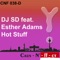 Hot Stuff (Arj Snoek Radio Mix) - DJ Sd lyrics