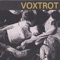 The Start of Something - Voxtrot lyrics