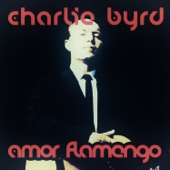 Amor Flamengo artwork