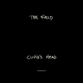 The Field - Cupid's Head