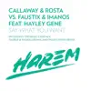 Say What You Want (Remixes) [Callaway & Rosta vs. Faustix & Imanos] [feat. Hayley Gene] - Single album lyrics, reviews, download