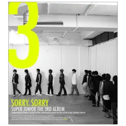Sorry, Sorry - Super Junior