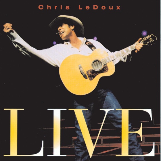 Cover artwork for Little Long Haired Outlaw