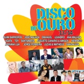 Disco de Ouro 13/14 artwork