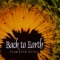 Yin & Yang - Back to Earth lyrics