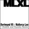 Dortmund 95 (Original Mix) - Mallorca Lee lyrics