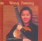 Caprice No. 24 - Wang Yameng lyrics