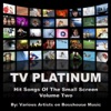 TV Platinum: Hit Songs of the Small Screen Vol. #2 artwork