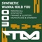 Wanna Hold You - Synthetic lyrics