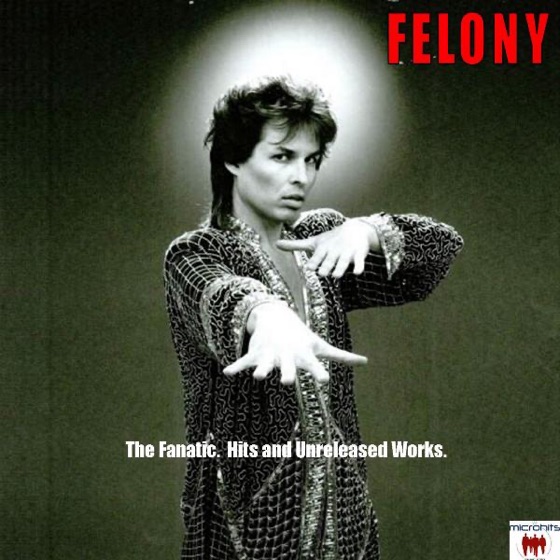 Cover artwork for The Fanatic