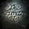 You Amaze Us - Single album lyrics, reviews, download