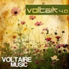 Voltaik 4.0, 2012