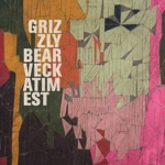 Grizzly Bear - Foreground