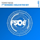 Hole In the Sky (Arctic Moon Remix) artwork