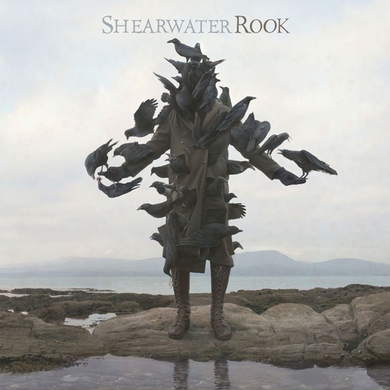 Cover artwork for The Snow Leopard