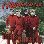 The Bobby Fuller Four - Big Kahuna (Radio Spot)