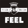 tiger and dragon - feel