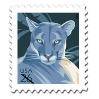 Direct Mail Marketing Success cover