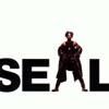 Seal [1991] artwork