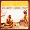 Private Room, the Spring Lounge Session 2013 (The Best in Lounge, Downtempo Grooves and Ambient Chillers), 2013