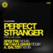 Prata da Casa (Spektre Remix) - Perfect Stranger lyrics