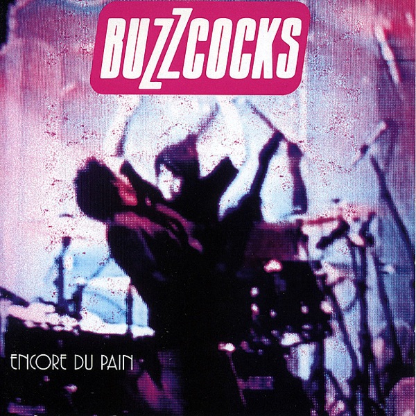 Buzzcocks mit Ever Fallen In Love?