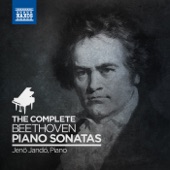Virtual Box Set - Complete Beethoven Piano Sonatas artwork