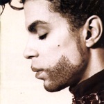 Prince - Horny Toad