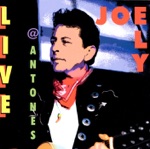 Joe Ely - The Road Goes On Forever