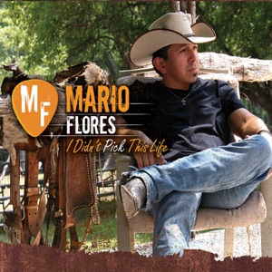 Mario Flores - I Didn't Pick This Life - 排舞 音乐